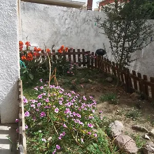Orchidea House Casa vacanze